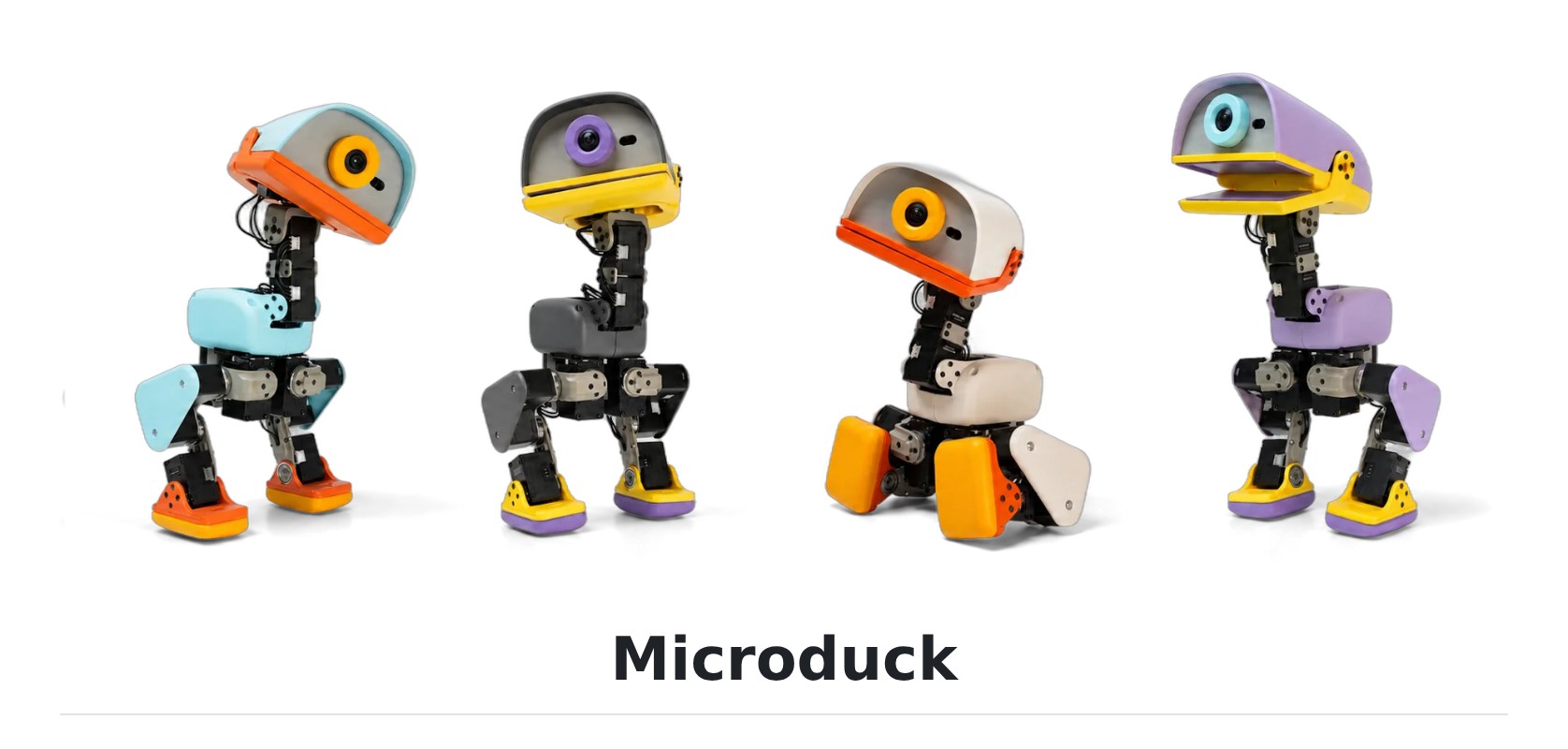 pollen-robotics / microduck README Preview